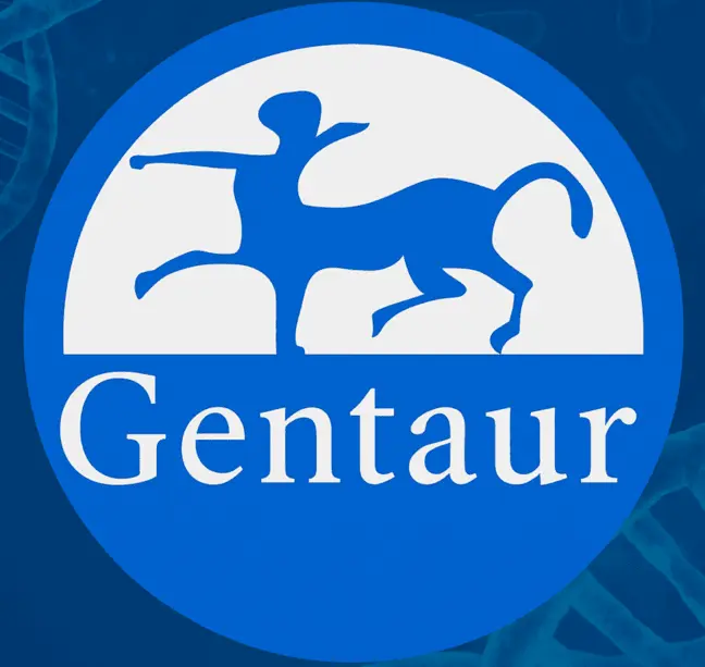 ß-Hydroxybutyrate (ß-HB) Assay Kit - 100 assays