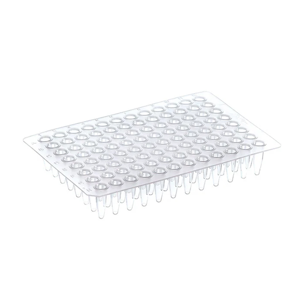 Thermo-Fast 96 PCR Plate Non-Skirted 