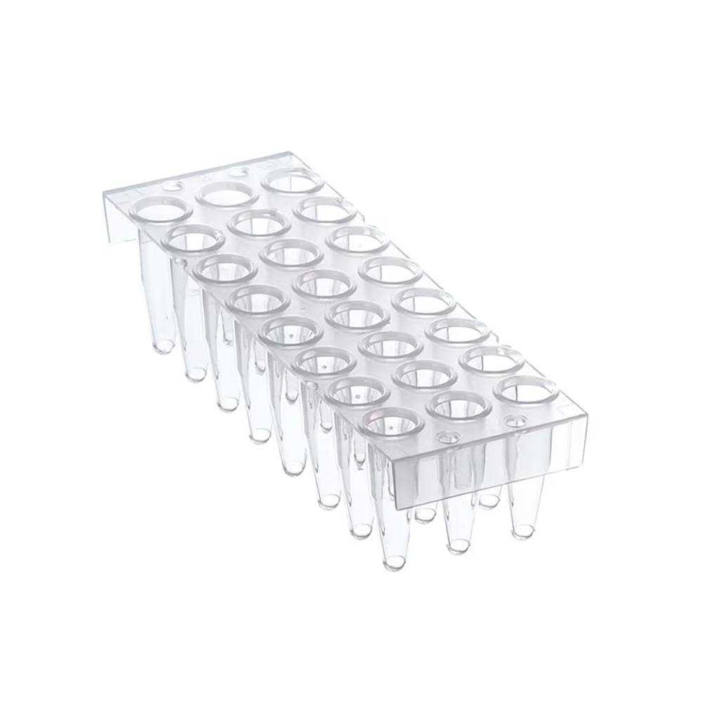 Thermo-Fast 24 PCR Plate 