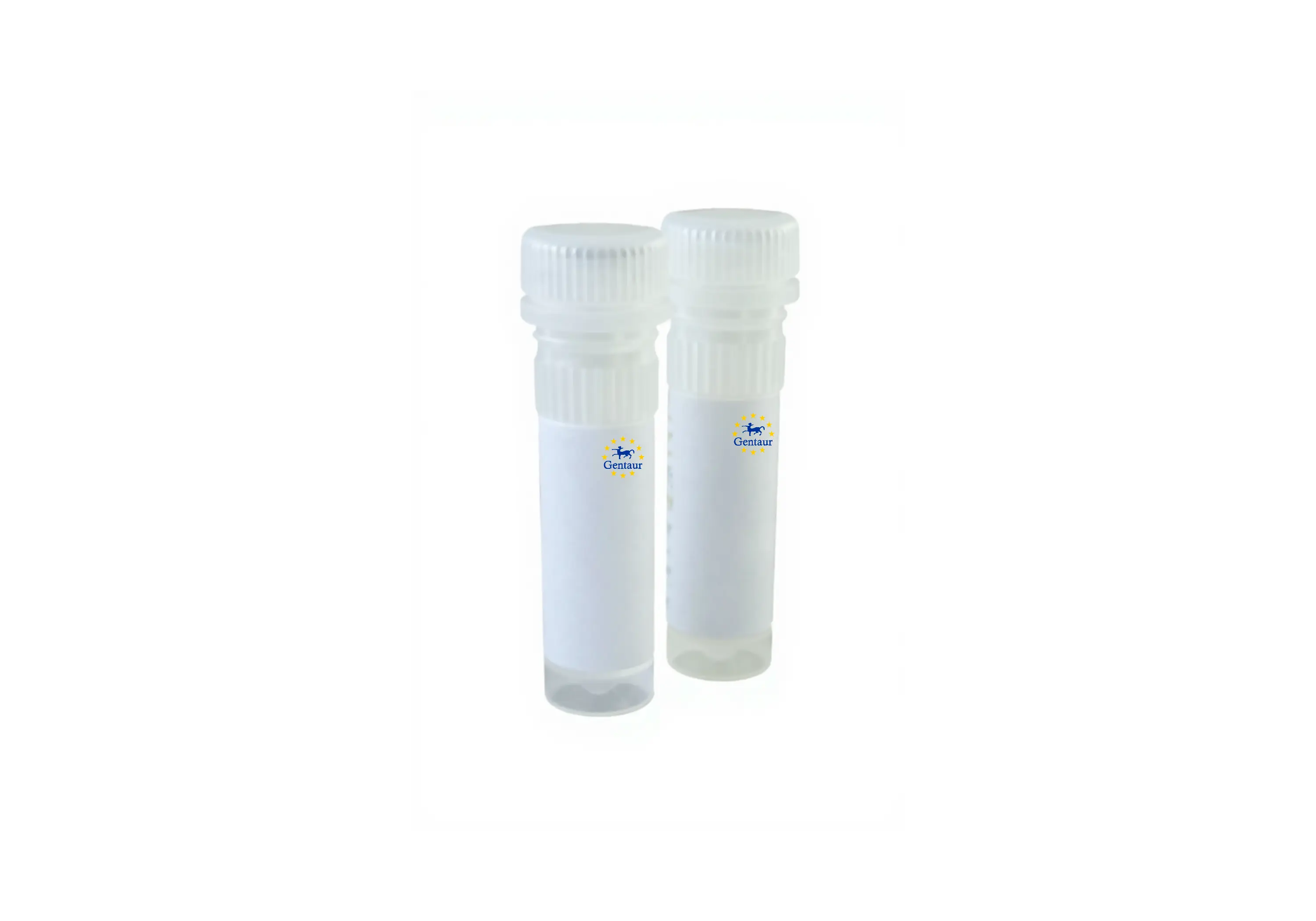  qmax probe no rox qpcr mix 500 reactions