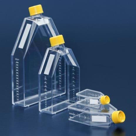 [GEN - TP 390076] Tissue culture flask / filter screw cap / triple bagged 