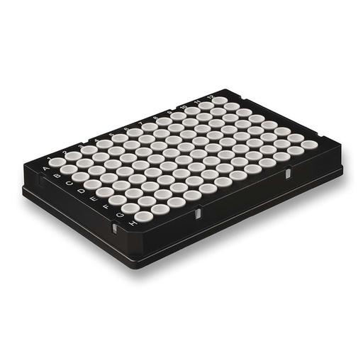 [GEN - WB 9-3442] AmpliStar Rigid Frame 384-well PCR Plate, White frame, Ultra-white wells 