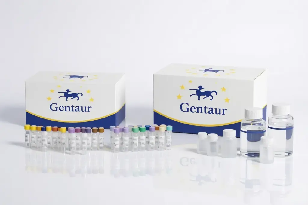[025-A-01-sf] Anti-Adenovirus E11 IgG2a (monoclonal) Produced against purified Ad1 virus