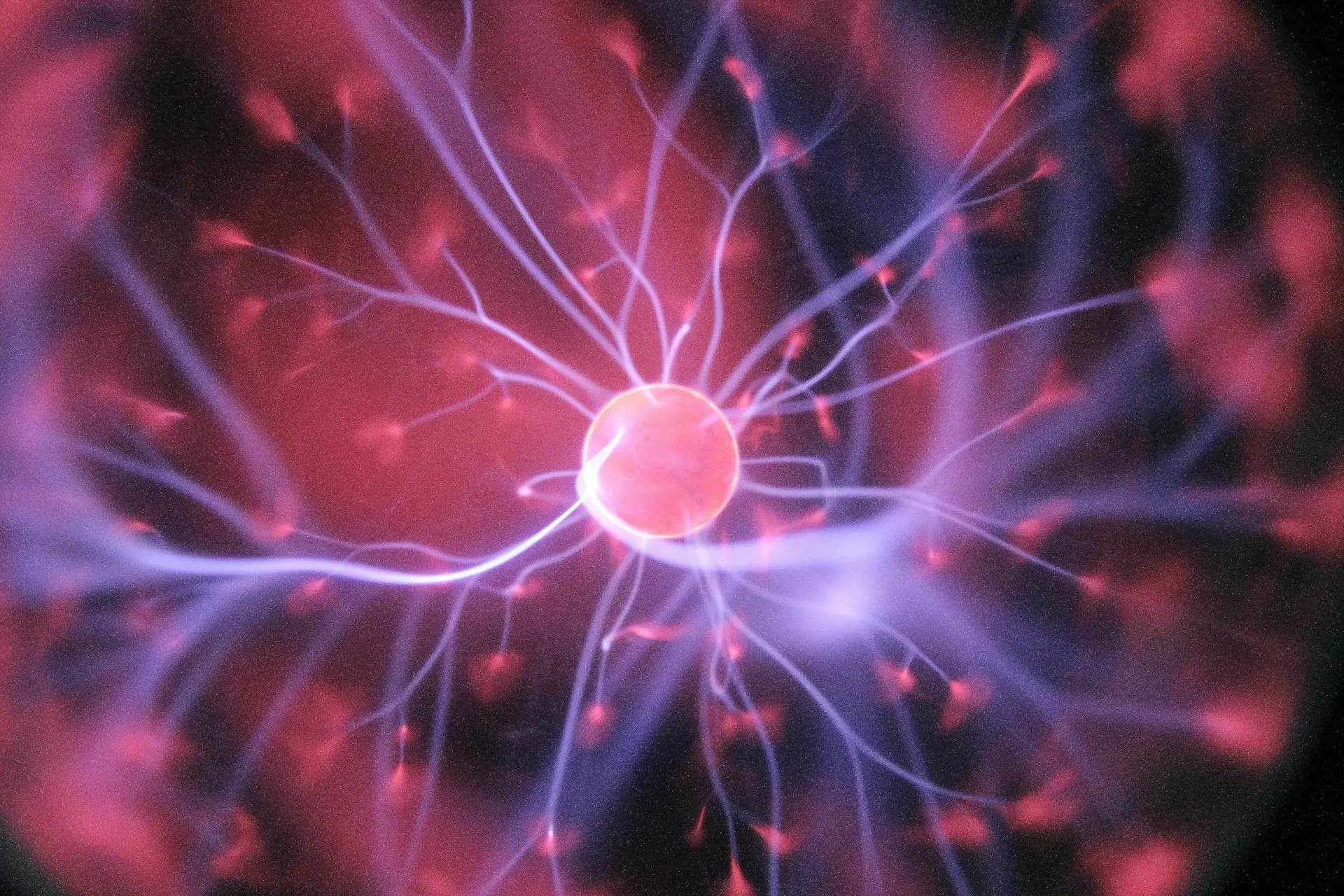 Innomed AddNeuroMed